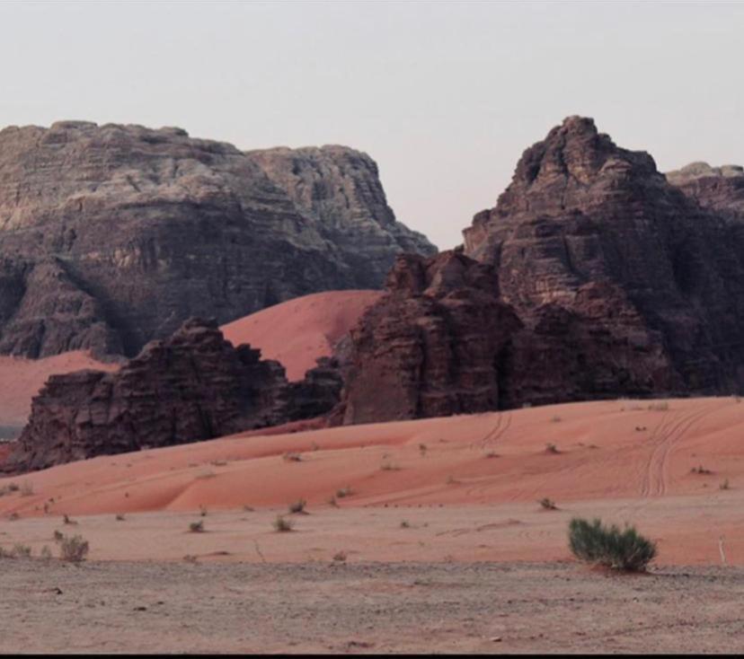 Enad desert camp Wadi Rum Exterior foto